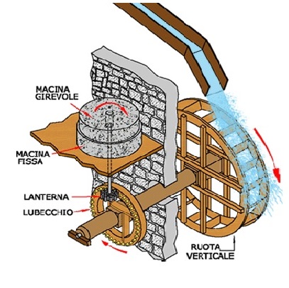 schema mulino